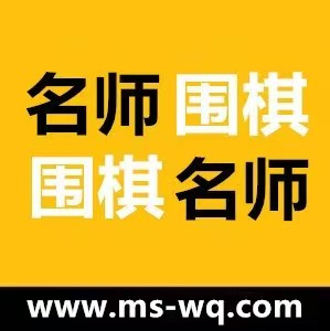名师围棋网校