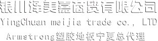 银川泽美嘉商贸有限公司