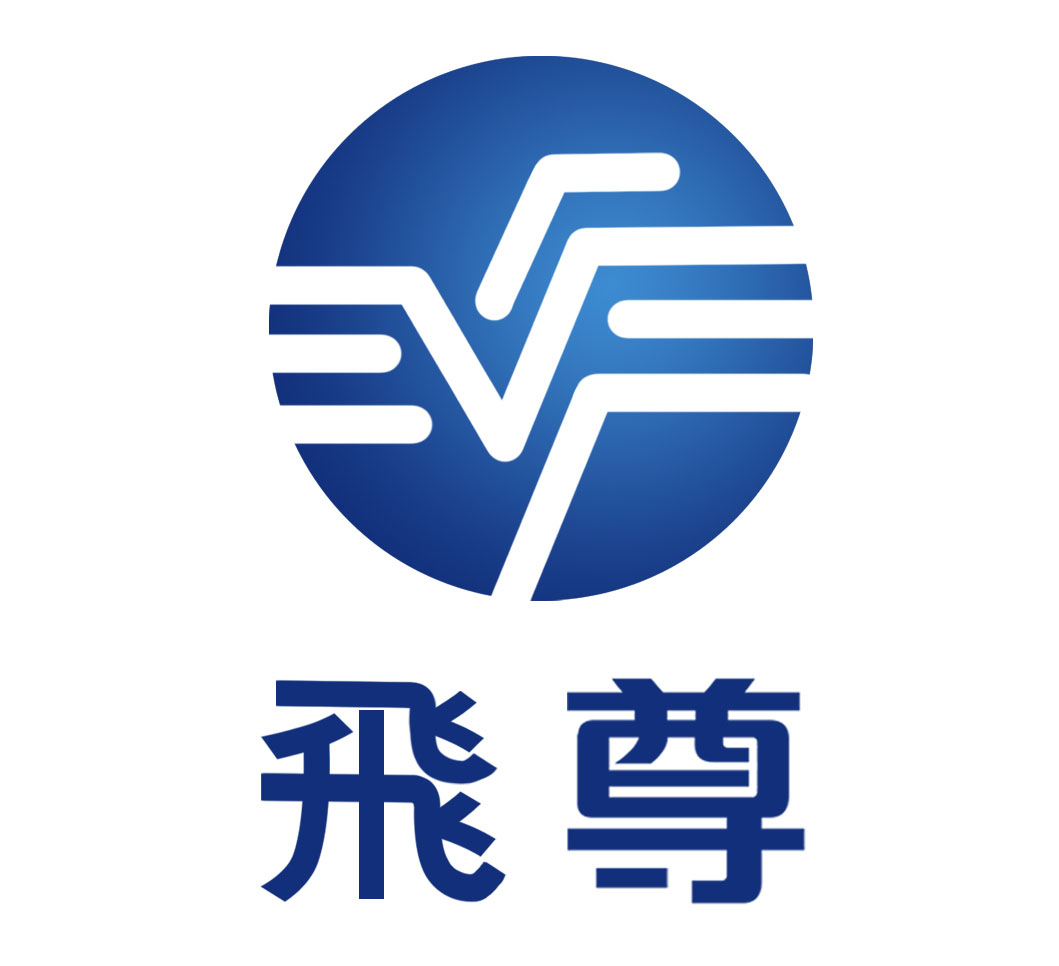 上海飞尊电子科技有限公司