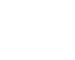 睿力（上海）汽车科技有限公司官网
