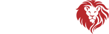 湖南袋狮品牌策划有限公司
