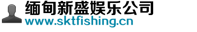 缅甸新盛娱乐公司