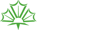 森朝照明