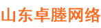 山东卓塍网络科技服务有限公司