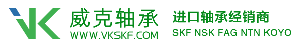 SKF进口轴承