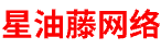 星油藤网络
