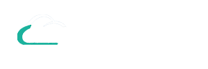 武汉网站建设公司