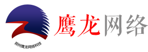 鹰龙网络专业数字化采集