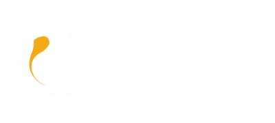 办会更高效
