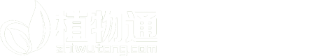 植物物种数据库