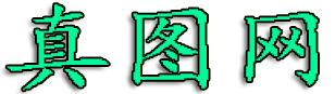 真图网