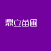 安徽香樟